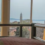 Backpackers Fairytale Split