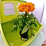 Hostel Backpackers Fairytale Split