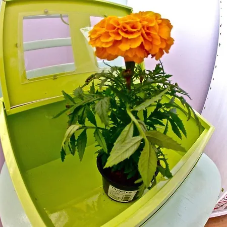 Hostel Backpackers Fairytale Split