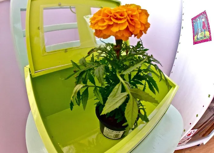 Hostel Backpackers Fairytale Split
