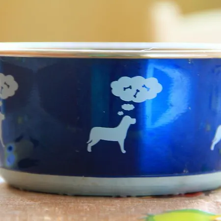 Hostel Backpackers Fairytale Split