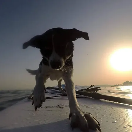 Backpackers Fairytale *