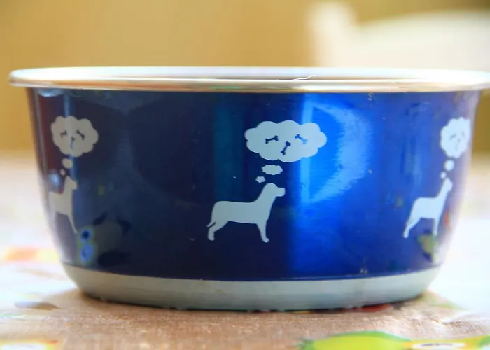 אכסניה Backpackers Fairytale ספליט